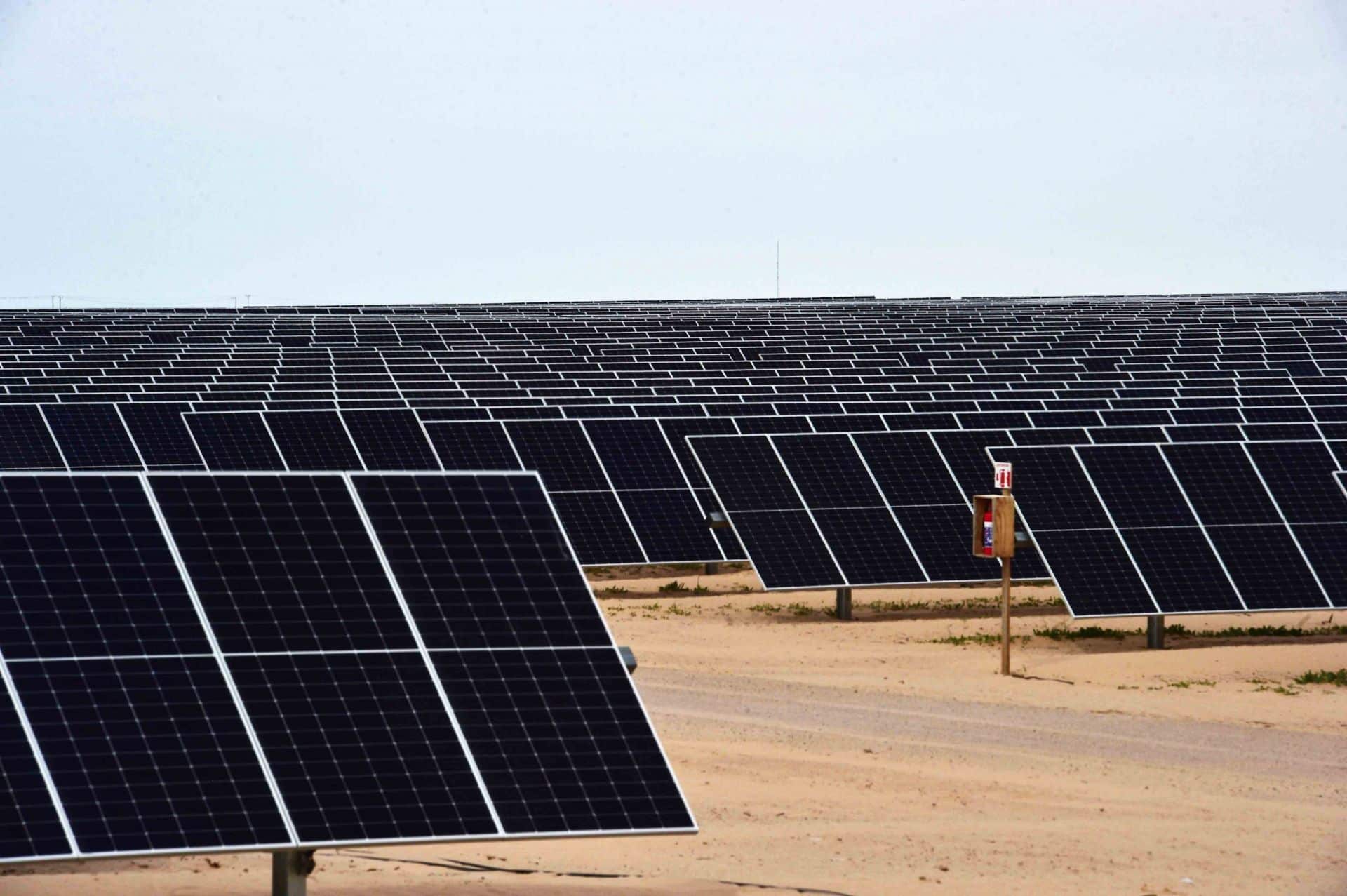 La Central Fotovoltaica de Puerto Peñasco, Sonora. (Cuartoscuro)