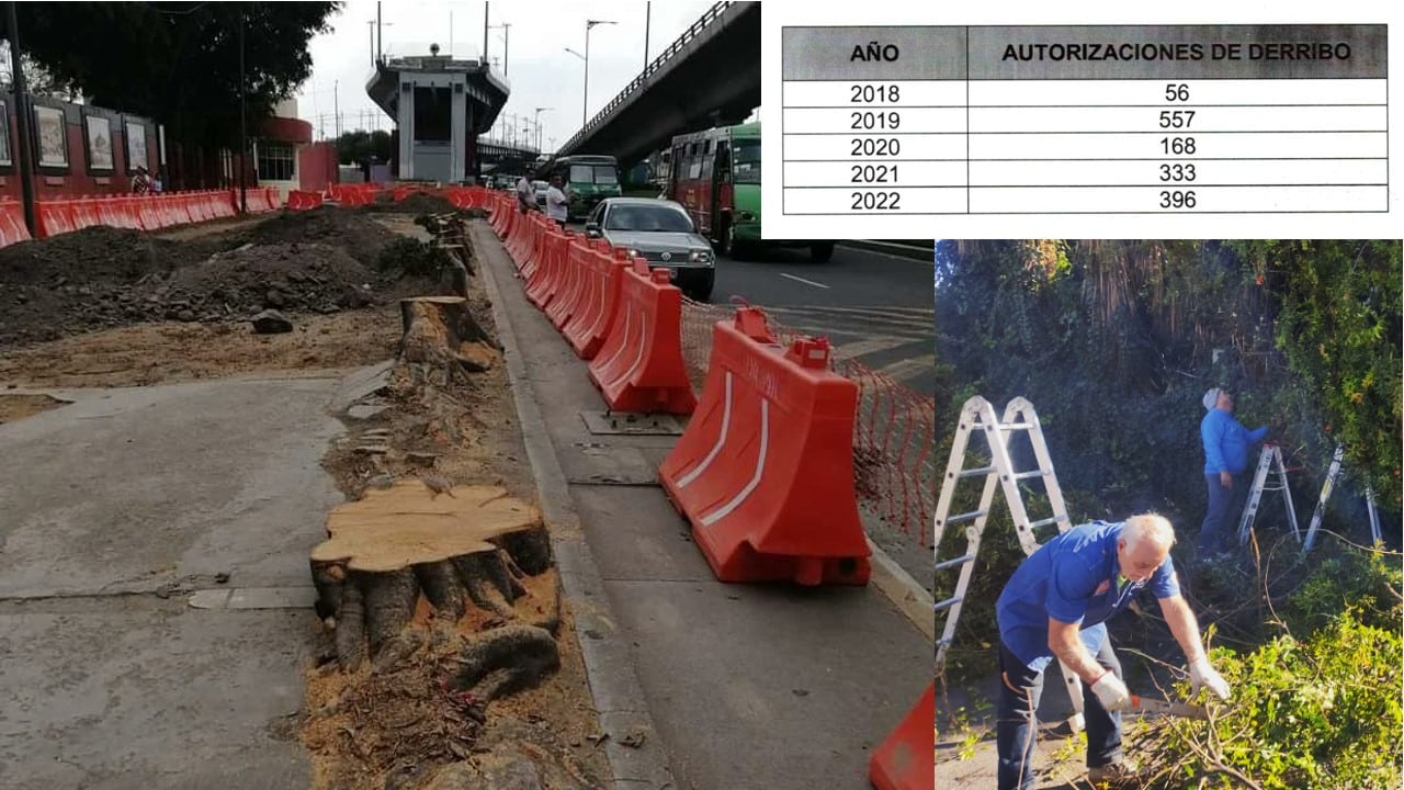 La construcción del trolebús elevado generó la tala de árboles.