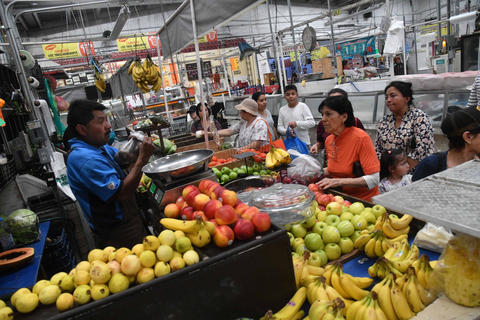 Productos agrícolas los que más aumentaron en mayo. (Cuartoscuro)