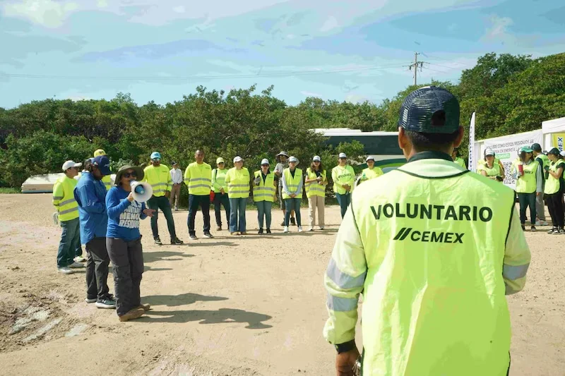 Cemex y Regenera en Yucatán durante la limpieza de manglares.