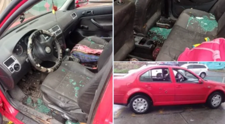 El auto en el que viajaban la madre y sus hijos.