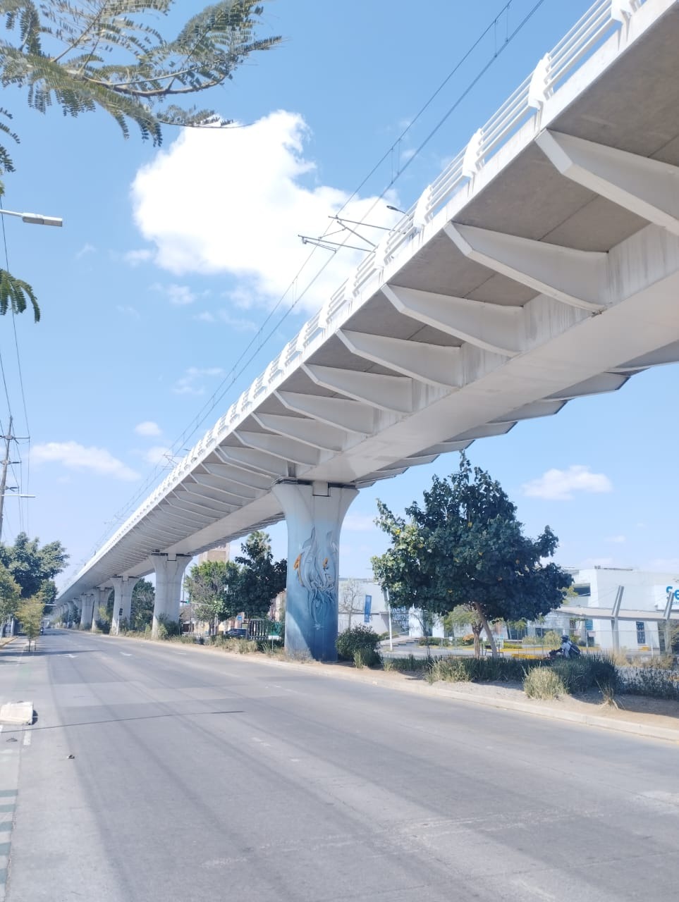 Avenida Manuel Ávila Camacho, normalmente concurrida, estaba vacía después del mediodía. Foto: Jaime Guerrero.
