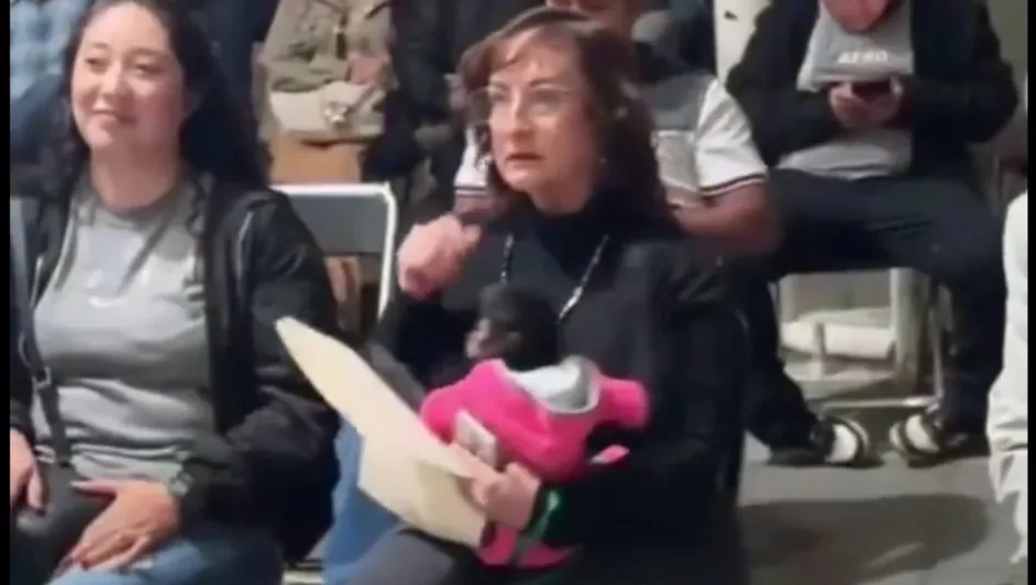 Silvia Villarruel Gutiérrez y su mono araña.