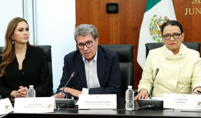 Elección judicial: ¿Qué pasará con los votos de Inzunza y Mayer? Elección judicial: ¿Qué pasará con los votos de Inzunza y Mayer?