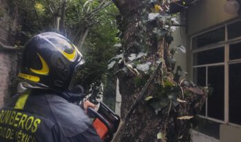 Árboles caídos, encharcamientos, tráfico: CDMX azotada por las lluvias Árboles caídos, encharcamientos, tráfico: CDMX azotada por las lluvias