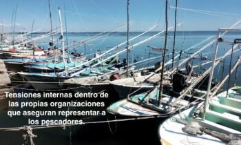¿Quién habla por los pescadores de Paredones?