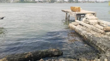 Pescadores denuncian manchas de petróleo en el Río Pánuco.