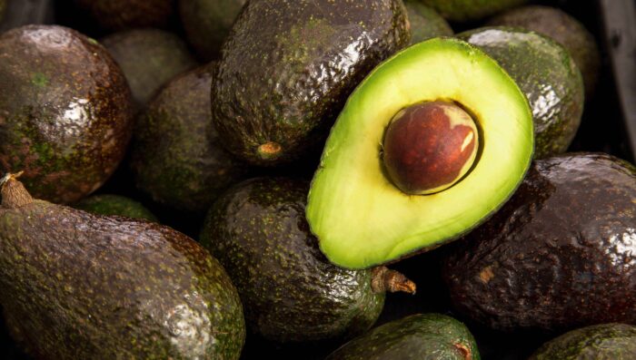 Oro verde en peligro: EU suspende envíos de aguacate michoacano por seguridad Oro verde en peligro: EU suspende envíos de aguacate michoacano por seguridad