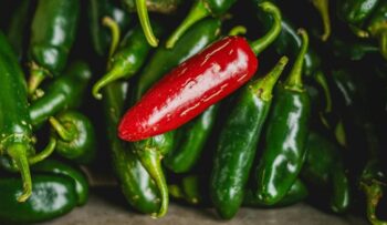 De la lechuga a los jalapeños: otro brote sanitario pone bajo la lupa a productos mexicanos en EU De la lechuga a los jalapeños: otro brote sanitario pone bajo la lupa a productos mexicanos en EU
