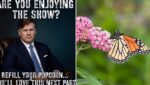 ¿Palomitas o mariposas? Los vaivenes de Chris Landau ¿Palomitas o mariposas? Los vaivenes de Chris Landau