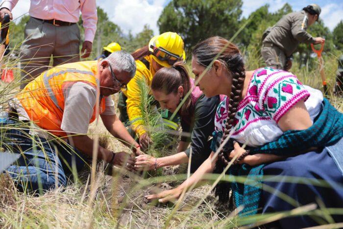 Cambio de nombre, de Paso de Cortés a Paso de los Pueblos Indígenas: Sheinbaum Cambio de nombre, de Paso de Cortés a Paso de los Pueblos Indígenas: Sheinbaum