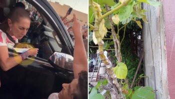 “¡Yo no te doy la mano!”. La presunta invasión por la que increparon a Sheinbaum “¡Yo no te doy la mano!”. La presunta invasión por la que increparon a Sheinbaum